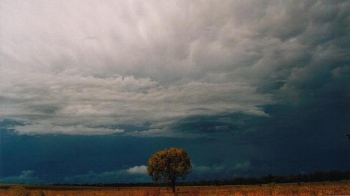 Dark Cloud - Dubbo, NSW Australia